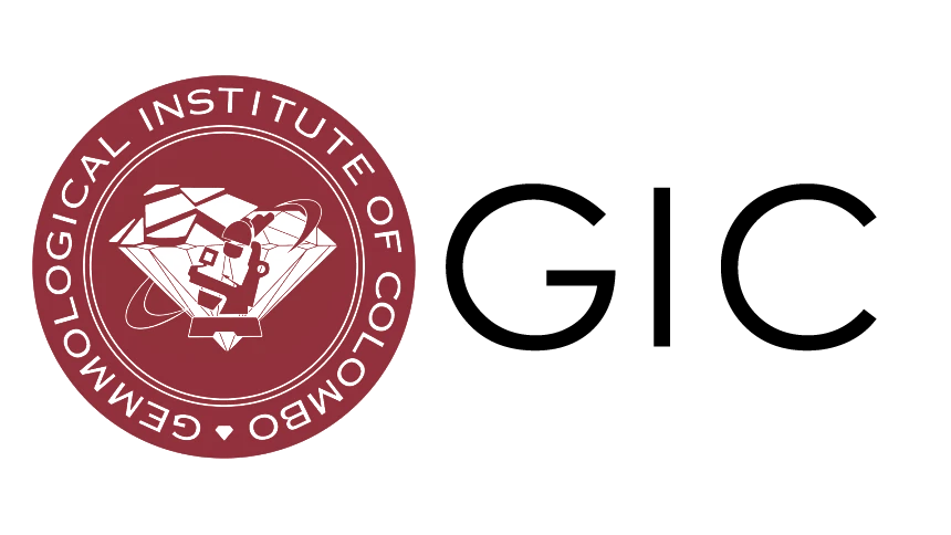 logo4